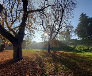 Zamojski Park jesienią
