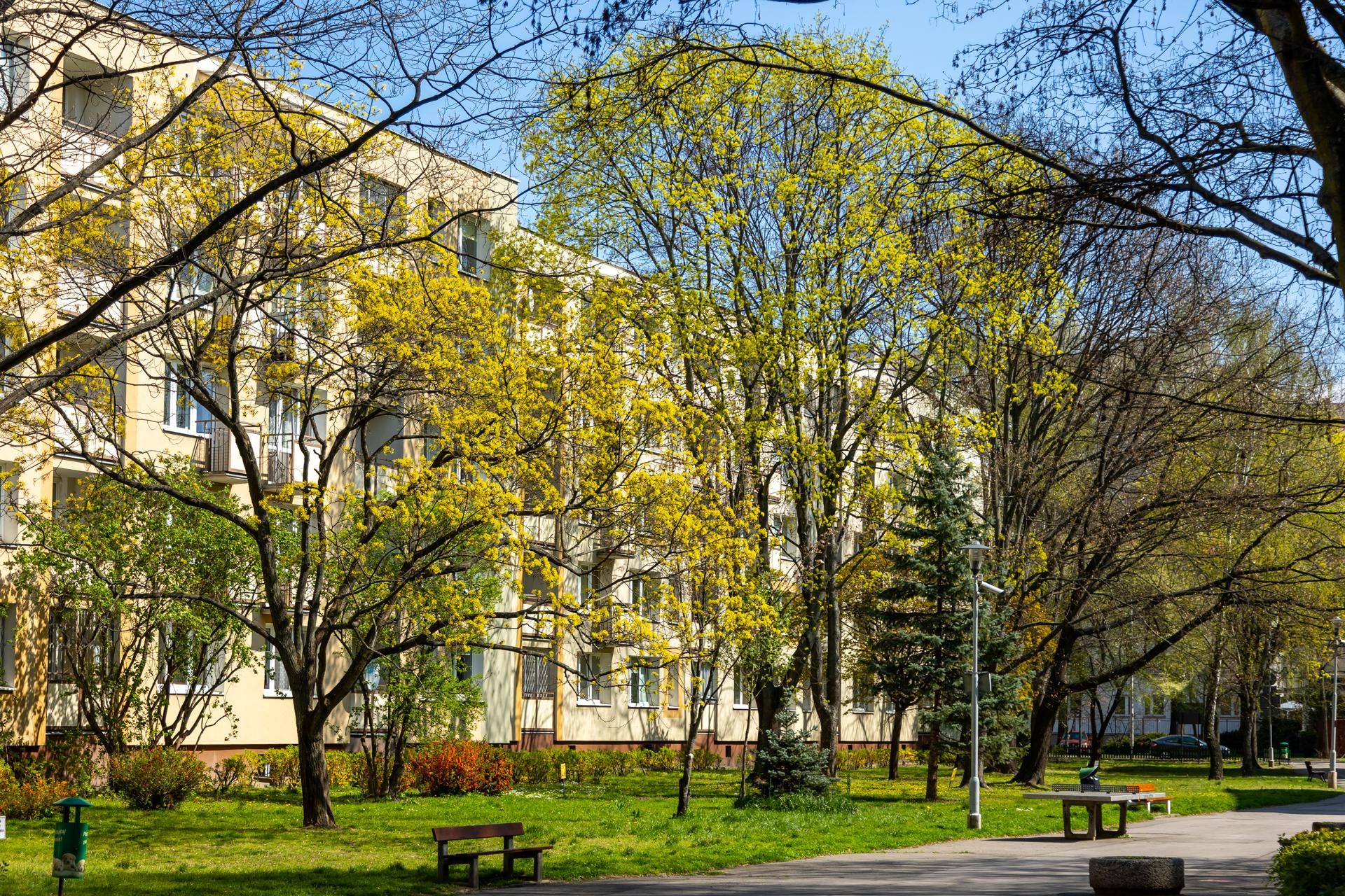 Osiedle Ateńska w Warszawie