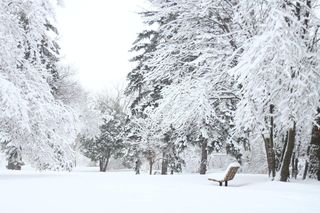 Trzaskające mrozy na horyzoncie. Pierwszy atak zimy w listopadzie. Synoptycy wskazali datę