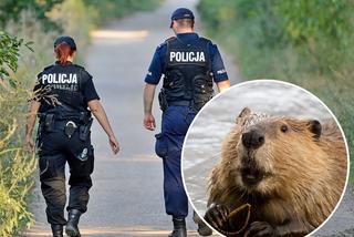 Pomyliła węża z bobrem. Kuriozalne zgłoszenia na stołeczną policję