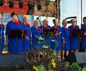 W konkursie na najlepsze pierogi w powiecie Siedleckim w 2025 roku zwyciężył męski zespół KGW „Sami Swoi” z Kotunia! 