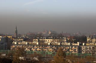 Walka ze smogiem zawieszona. Sejm zwleka z pracami, bo skończyła się zima