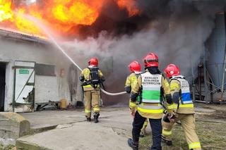 Liczba interwencji poznańskich strażaków wyniosła ponad 12 tysięcy