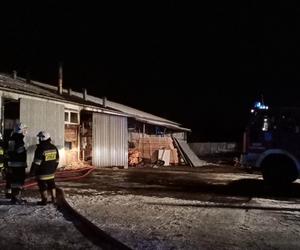 Lubelskie. Strażacy walczyli z ogniem w zakładzie stolarskim. Straty oszacowano na 10 tys. zł 