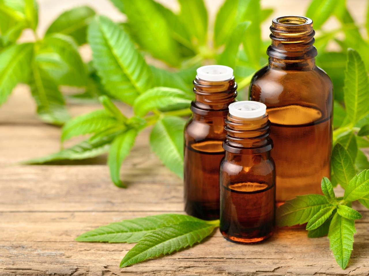 Werbena: 7 zastosowań dla twarzy i ciała