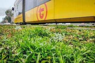 Tory tramwajowe w Warszawie pachną włoską pizzą