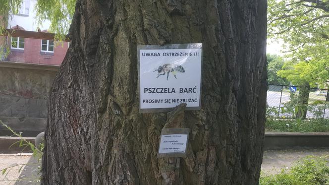 Półki bookcrossingowe w Ogrodzie Botanicznym UKW