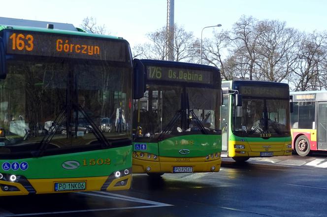 Nowa pętla autobusowa ma być zlokalizowana przy ul. Karpiej