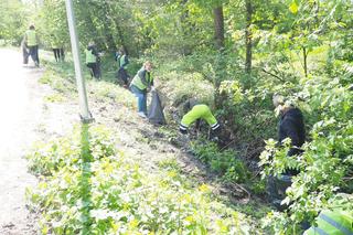 Wiosenne Porządki w Urzędowie