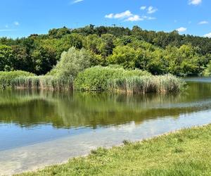 Zwłoki park Szczęśliwicki