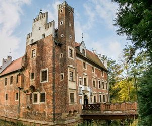 Złodzieje okradli Zamek w Wojnowicach. Fundacja prosi o wsparcie 