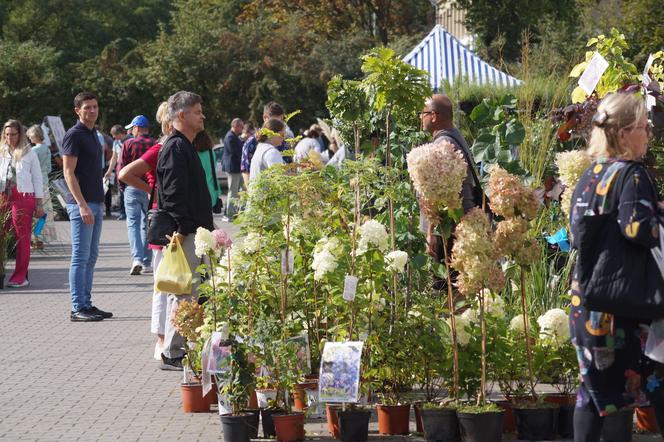 Jesienny Kiermasz Ogrodniczy 2023. Tłumy przy bydgoskim "Torbydzie" [ZDJĘCIA]