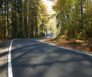 Wkrótce odbiór nowej drogi w powiecie zamojskim