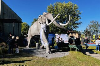 Odsłonięta figura słonia leśnego w Grodzisku Mazowieckim