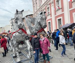 Miejskie obchody Dni Świętomarcińskich