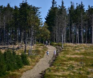 Beskid Śląski, szlak na Baranią Górę 