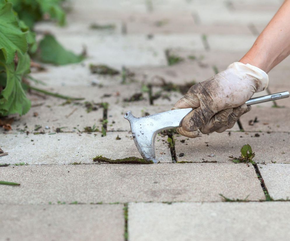 Twoja kostka brukowa to koszmar? Sprawdź, jak ją skutecznie wyczyścić