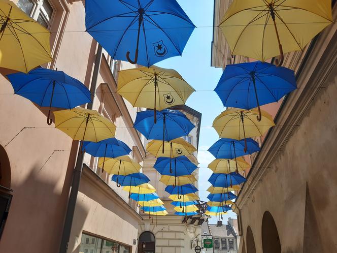 Kolorowe parasole