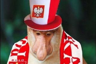 Memy przed Euro 2024