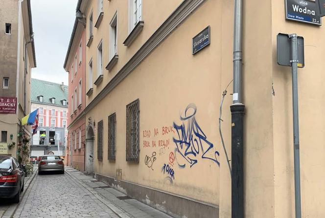 Murale w Poznaniu zamiast graffiti! Pierwszy z nich zaprojektują seniorzy