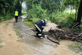 Interwencje strażaków OSP po wtorkowej ulewie