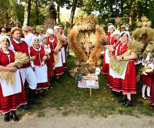 Tłumy na dożynkach w Olsztynku. Zobacz, jak wyglądało tegoroczne święto plonów