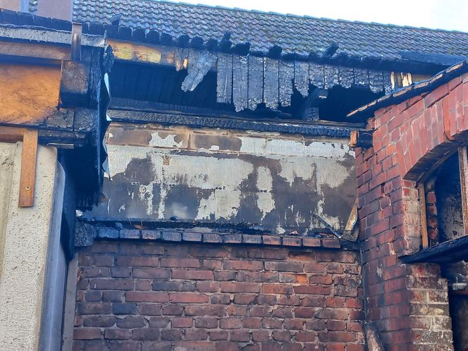 Zatrzymano podpalacza komórek lokatorskich przy Sienkiewicza w Lesznie