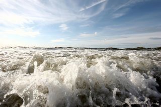 Grzybowo k. Kołobrzegu