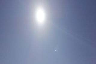W Lubuskiem tropikalnie! Szukajmy cienia i ochłody