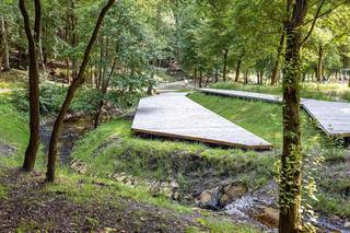 Park miejski w Starachowicach