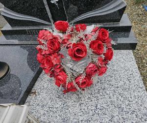 Nie żyje strażak ugryziony przez osę