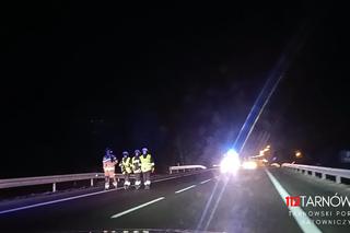 Dębno. Osobówka uderzyła w stado dzików na DK 94