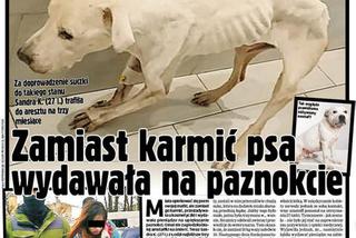 Głodziła psa, grozi jej 5 lat