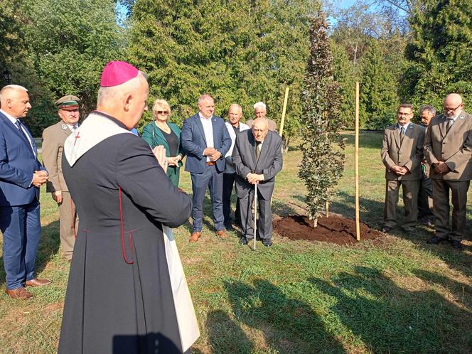 Trzy młode buki purpurowe na Skwerze Leśników Polskich wspólnie zasadzili pracownicy Nadleśnictwa Siedlce i Lasów Państwowych, władze miasta Siedlce i radni.