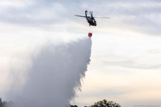 Pożar w Biebrzańskim Parku Narodowym [ZDJĘCIA]