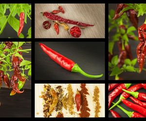 Odmiany papryki – łagodne i ostre. Papryka, chili i pepperoni: czym się różnią? 