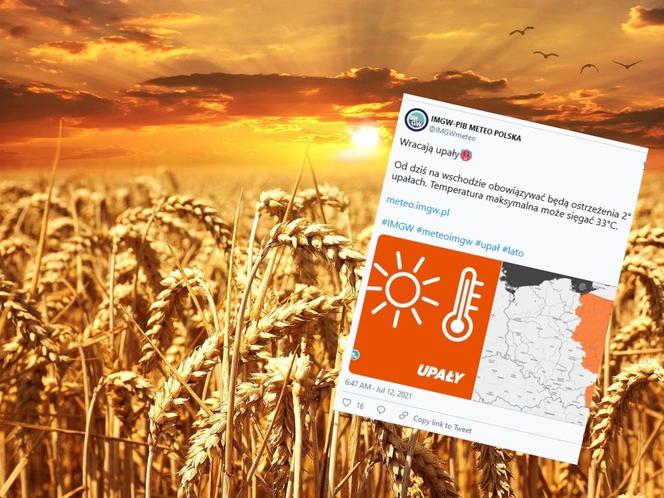 Będzie potwornie gorąco! Kolejna fala upałów i burz przed nami