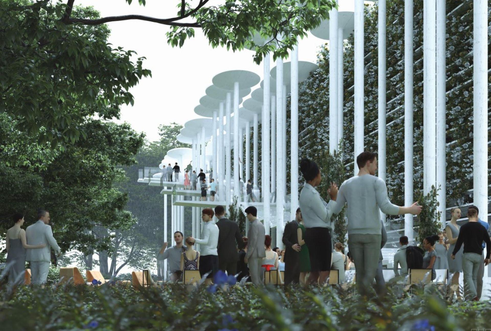 Polska Opera Królewska: wyniki konkursu