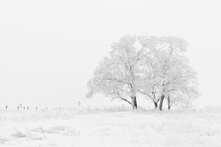 Atak zimy na Śląsku! Śnieg i siarczysty mróz [OSTRZEŻENIE METEOROLOGICZNE]