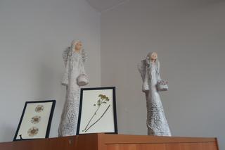 Charity Shop, czyli sklep charytatywny w Sosnowcu