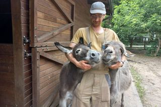 Mini ZOO w Lesznie ma nowych mieszkańców. To owce, konie i osioł [ZDJĘCIA]