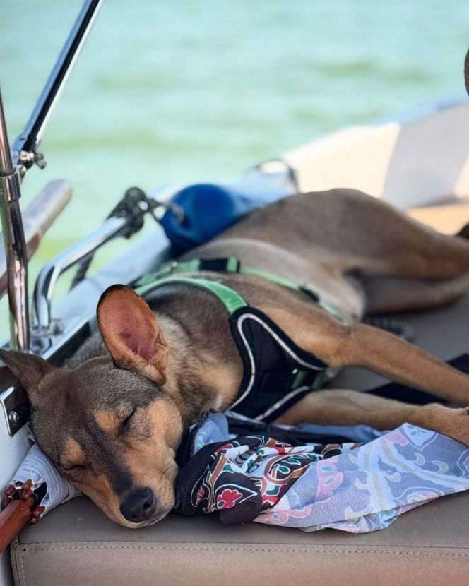 Ola Kwaśniewska chlapie się w jeziorze