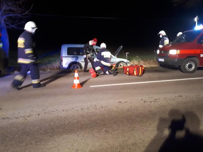 Łódzkie: Potężny ŁOŚ wbiegł wprost pod auto! Dramatyczne skutki zderzenia