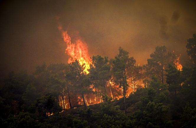 Uciekli przed ogniem, spali na trawnikach. Koszmar turystów z Polski na Rodos