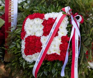 Tak wygląda grób Macieja Krakowiana przez 1 listopada