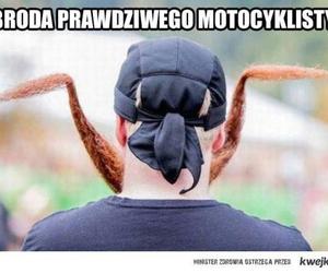 Memy o brodzie z okazji Światowego Dnia Brody