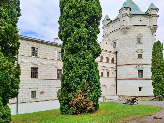 Mało kto wie o tym polskim zamku. To prawdziwa perła Podkarpacia