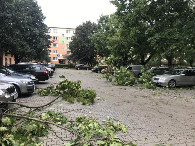 Jedną z dzielnic, któa ucierpiała najbardziej był Czechów Południowy