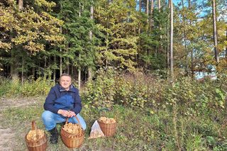 Wieś Długojów w gminie Zagnańsk