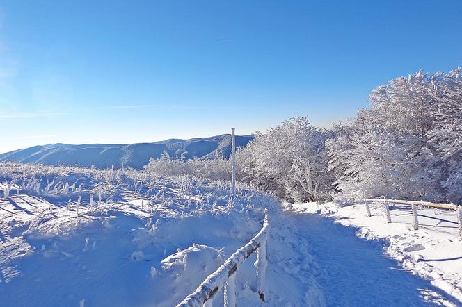 Bieszczady. Wybierasz się w góry? Szlak na Połoninę Caryńską zamknięty!